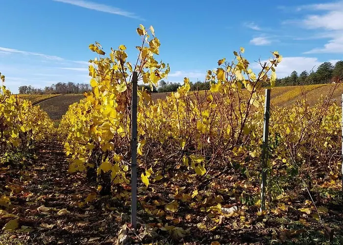 Maison Au Coeur Du Vignoble Champenois