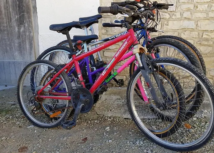 Maison Au Coeur Du Vignoble Champenois